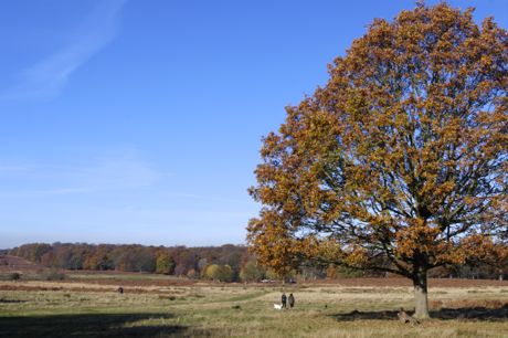 e0114020_1857209.jpg