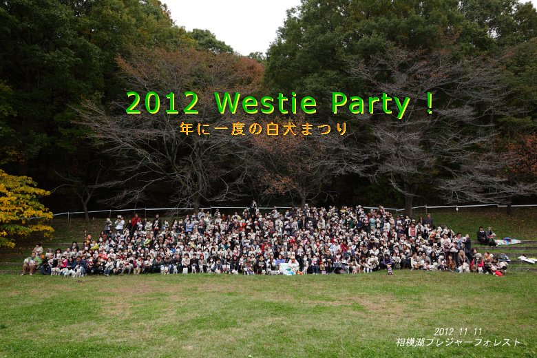 f0084422_15515639.jpg