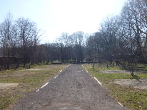 b0174425_17531489.jpg