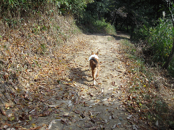 b0066826_19595642.gif