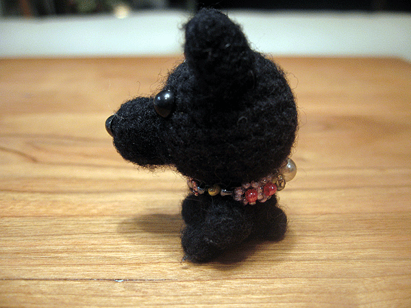 b0066826_2005546.gif
