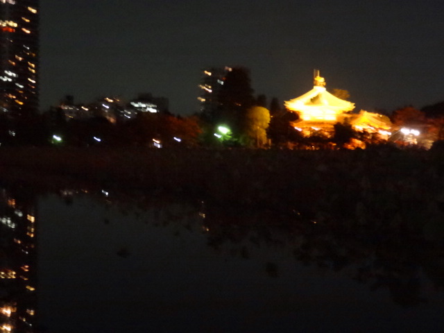 e0016828_10435320.jpg