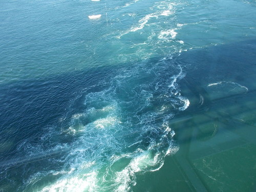 f0111128_193176.jpg