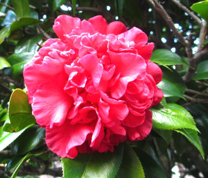 e0149934_21301979.jpg