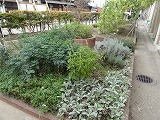 f0167635_5195651.jpg