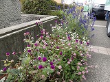 f0167635_5203889.jpg