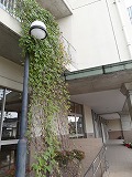 f0167635_5232518.jpg