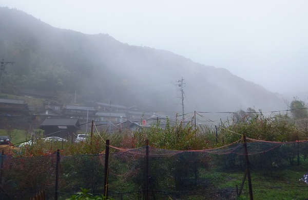 f0042737_14533464.jpg