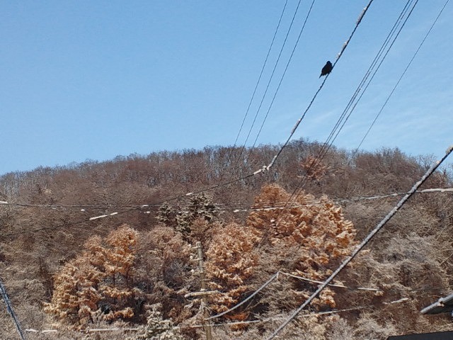 c0117239_103252.jpg