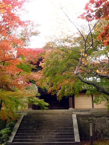 b0088340_1218175.jpg