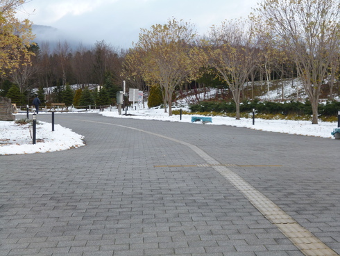 c0233141_10255867.jpg