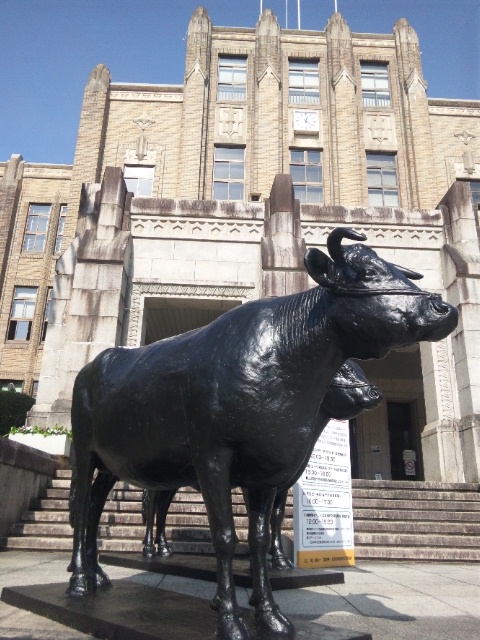 b0199742_23453655.jpg