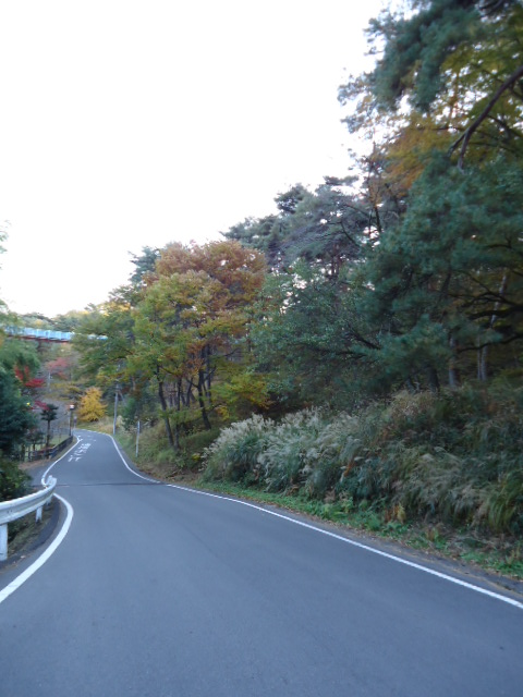 f0041850_15354388.jpg