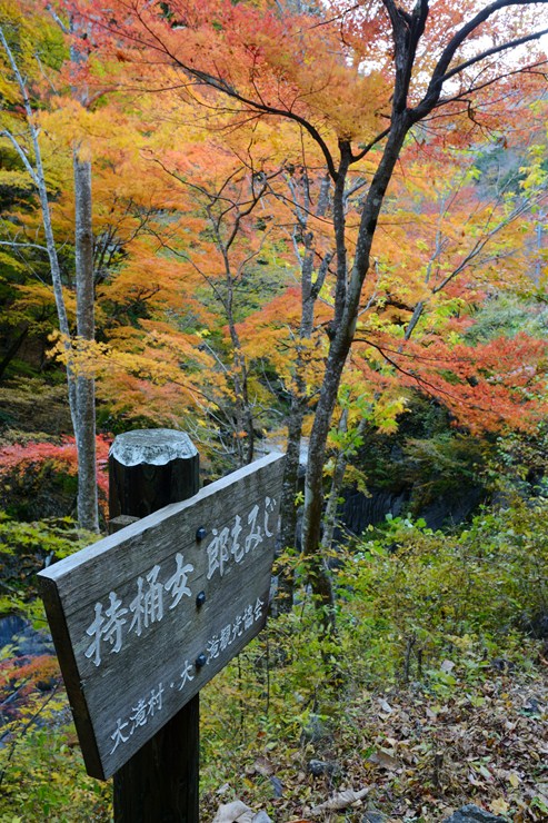 f0222161_11182513.jpg
