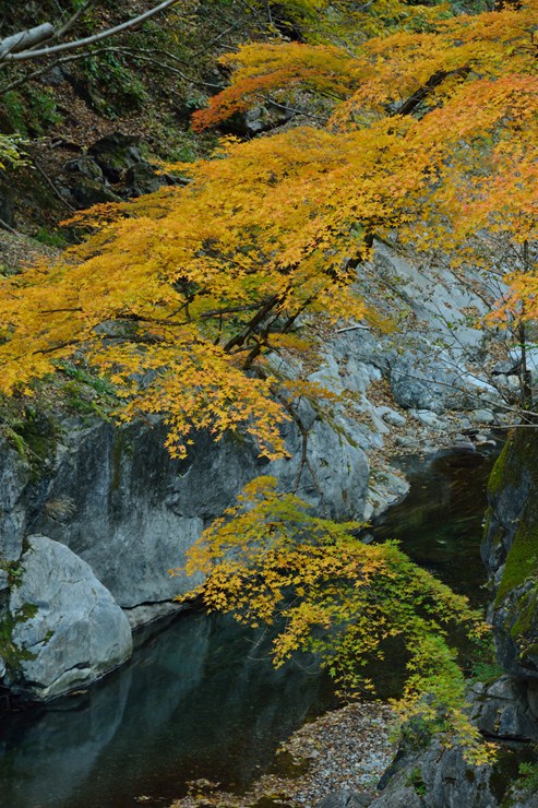 f0222161_11194432.jpg