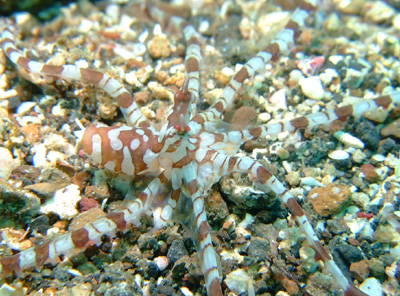e0184067_1822137.jpg