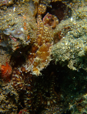 e0184067_18221885.jpg