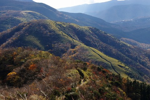 e0045768_2312681.jpg