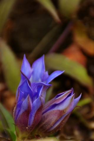 e0045768_2326349.jpg