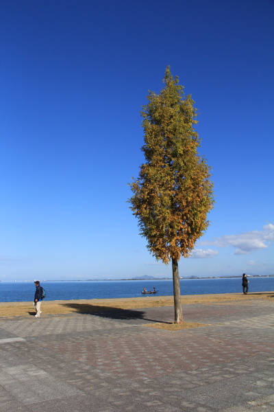 b0055171_22255633.jpg