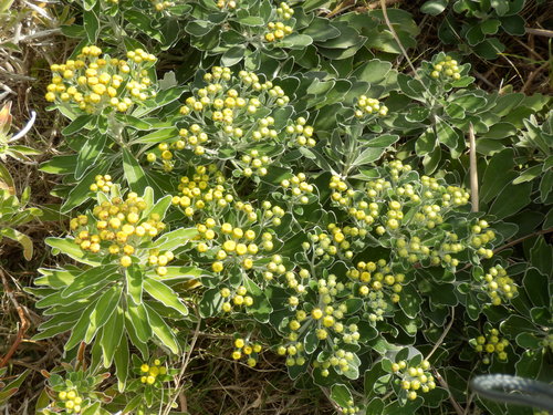 e0292172_20284970.jpg