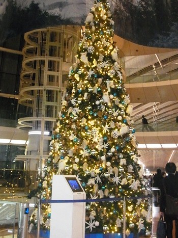 f0148183_13551562.jpg