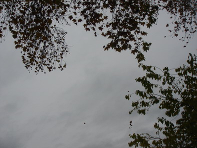 a0247585_8532833.jpg