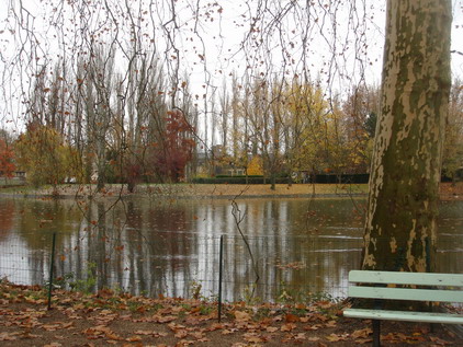 a0247585_8563268.jpg