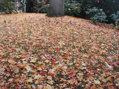 a0247585_91371.jpg