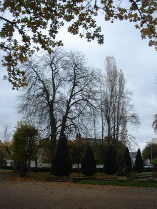a0247585_93392.jpg