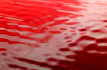 d0039085_2111655.png