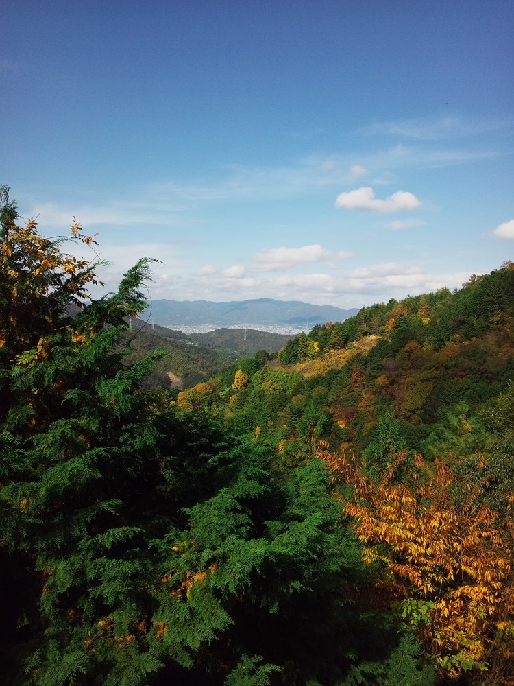 c0034787_7495087.jpg