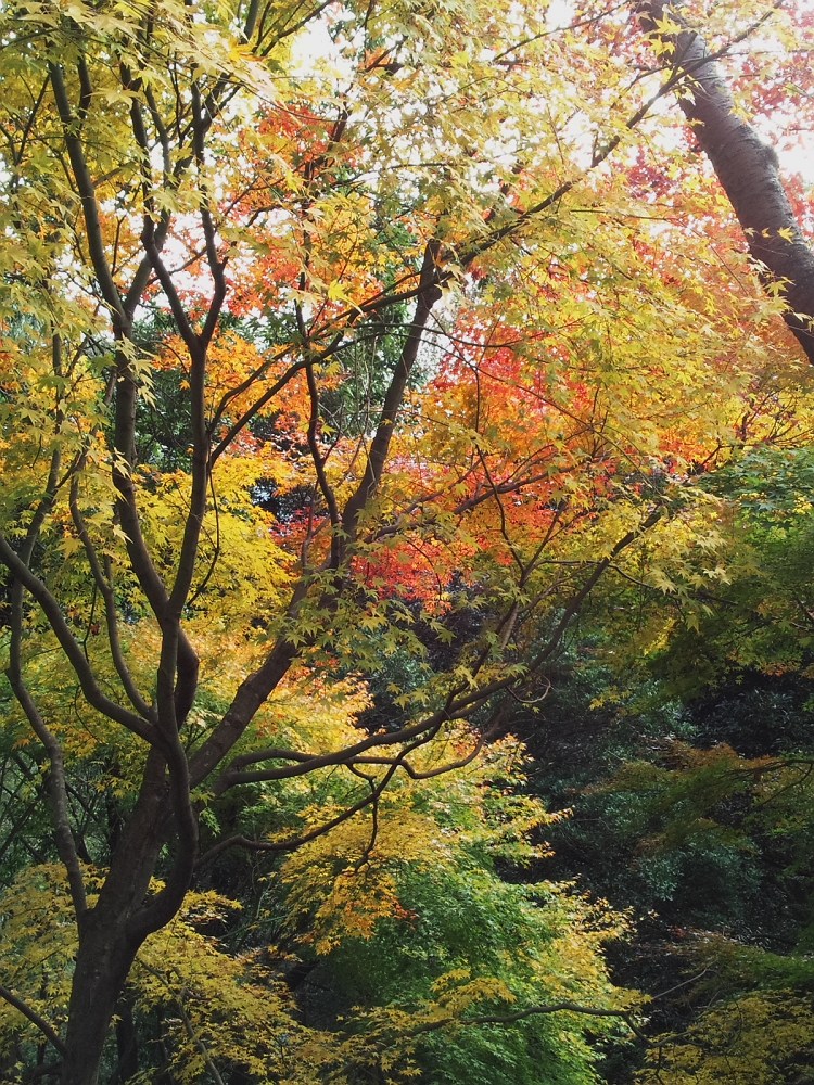 c0034787_7503316.jpg