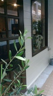 b0162388_21551251.jpg