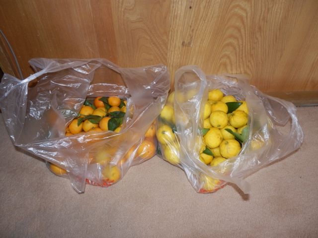 f0130894_22161453.jpg