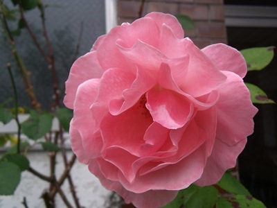 c0017802_19471082.jpg