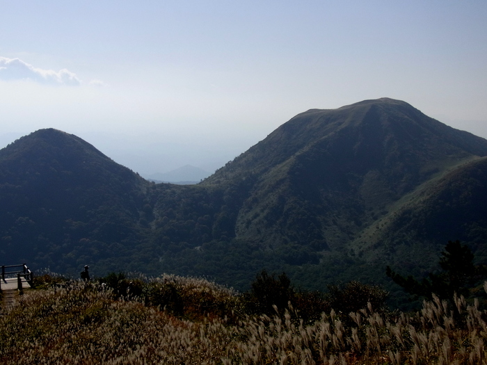 c0197004_22134523.jpg