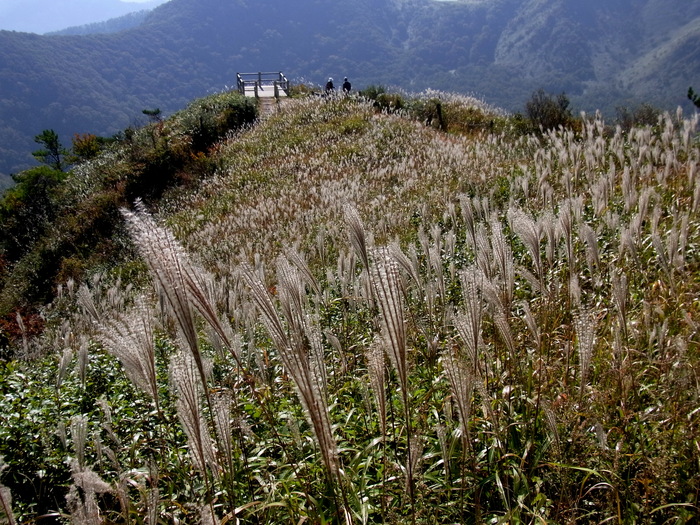 c0197004_22144498.jpg