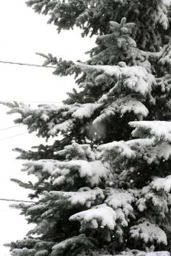 f0041606_14293584.jpg