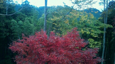 e0272108_174722.jpg