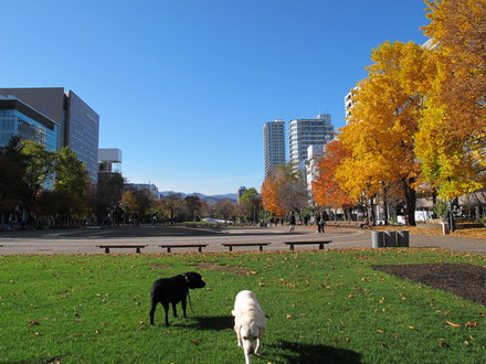 b0075609_22493773.jpg