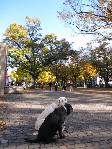 b0075609_2252915.jpg