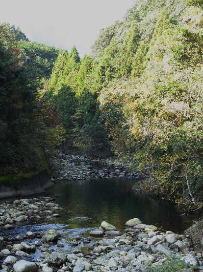 d0154609_1123990.jpg