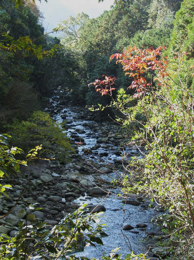 d0154609_112550100.jpg
