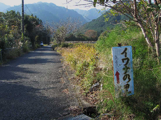 d0154609_11281799.jpg