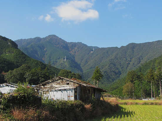 d0154609_11305394.jpg