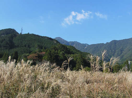 d0154609_1132143.jpg