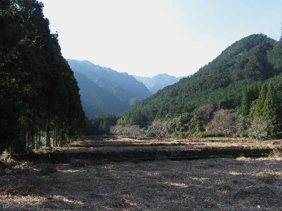 d0154609_11321896.jpg