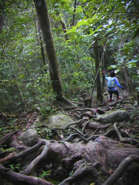 b0183911_1224517.jpg