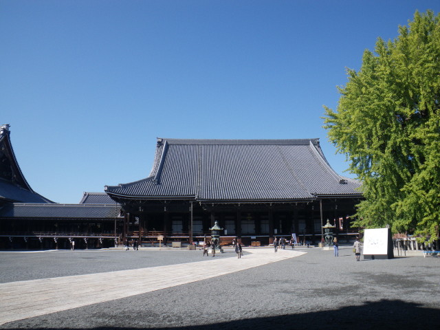d0006512_10485299.jpg
